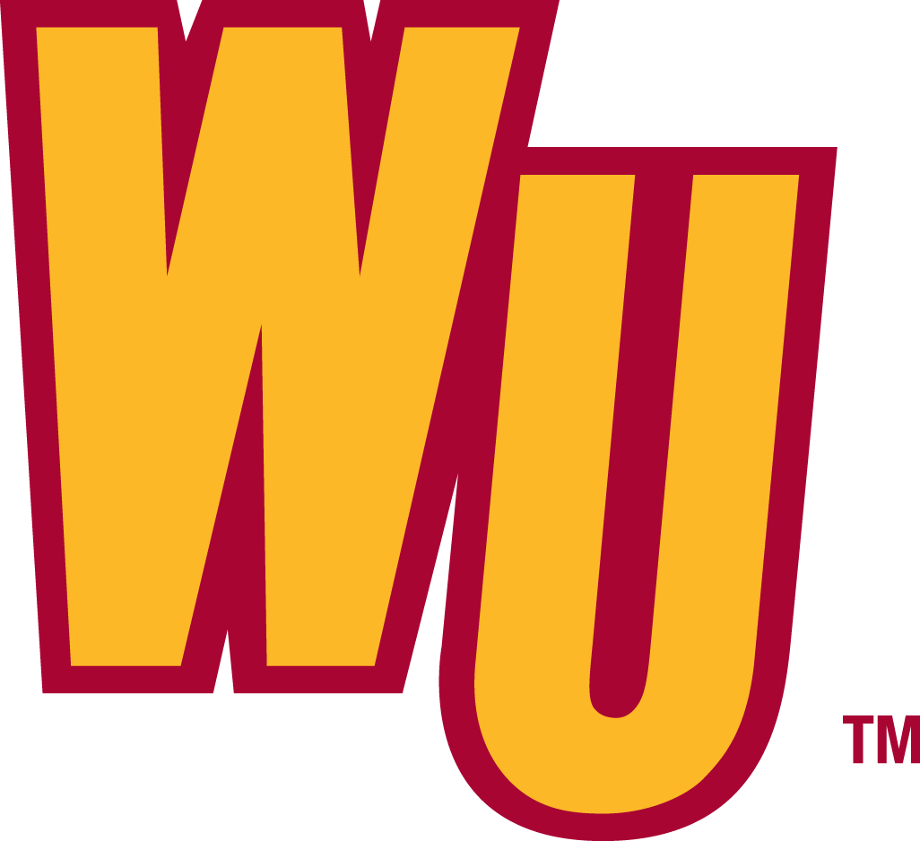 Winthrop Eagles 1995-Pres Alternate Logo v2 diy DTF decal sticker